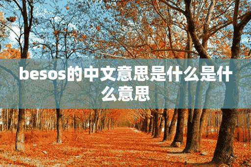 besos的中文意思是什么是什么意思